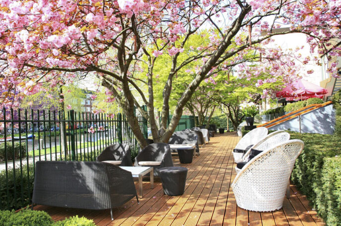 Serre Restaurant Terrace Cherry Blossom